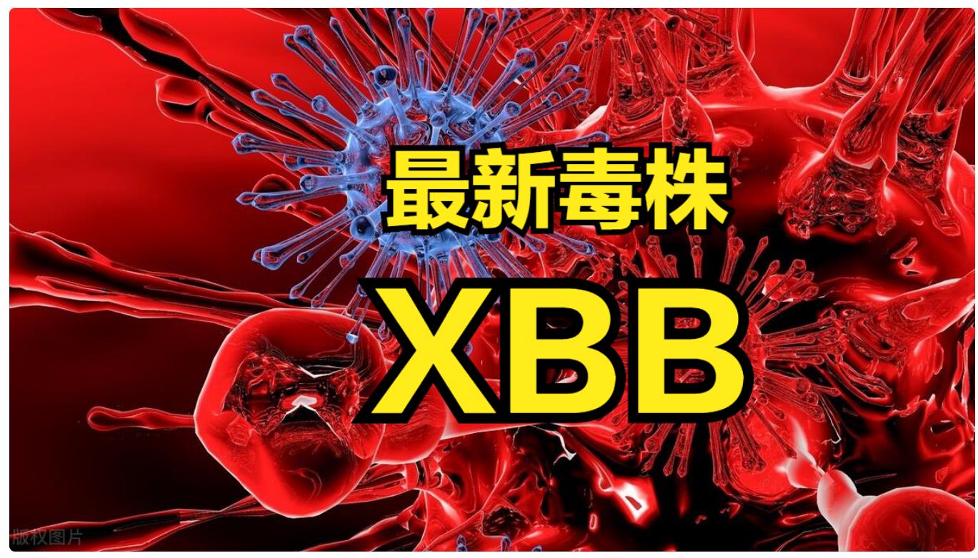 最新研究XBB.1.5毒株致病性或未增强2-3周内痊愈及注意事项
