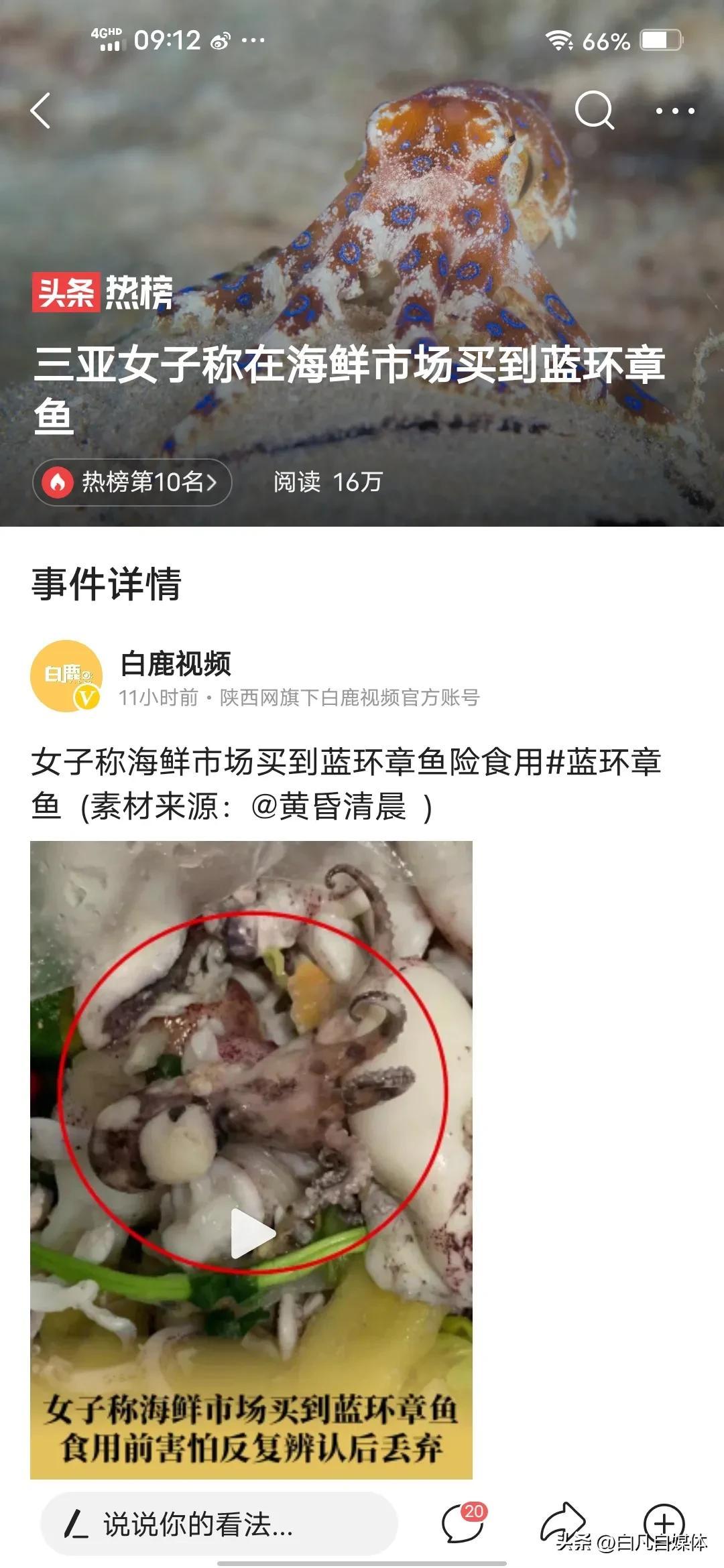 三亚女子称在海鲜市场买到巨毒蓝环章鱼.喷出来的墨水无解