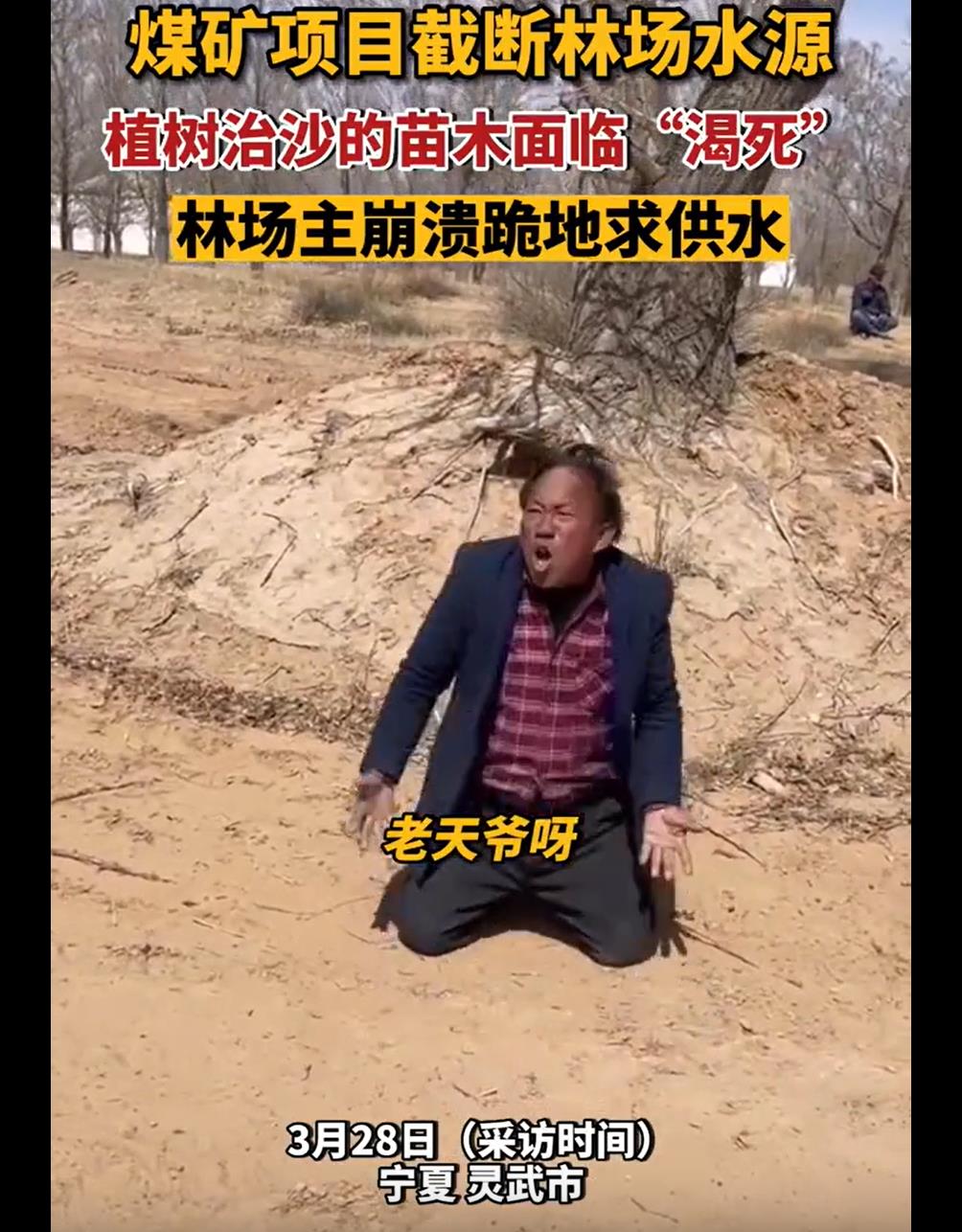 宁夏万亩树木被煤矿断水面临枯死原因:当地一煤矿不供水