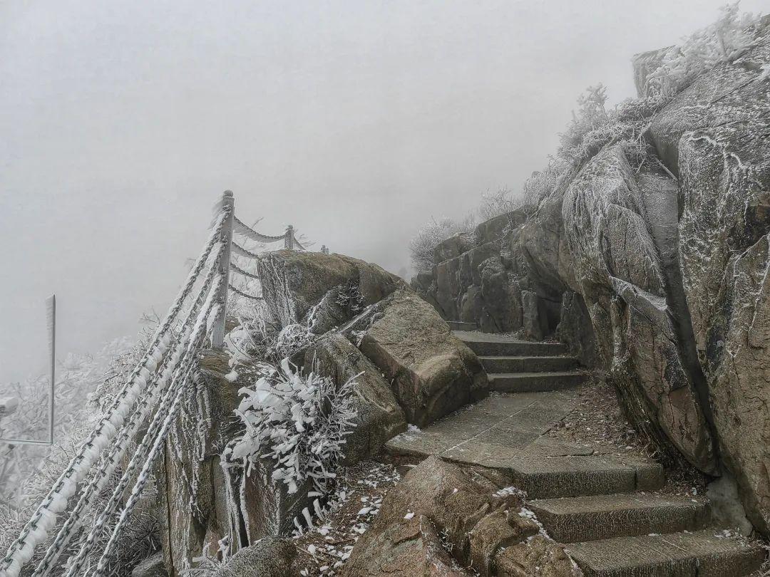 泰山之巅雨后现雾凇奇观太让人为之迷恋.玉树琼枝宛若仙境