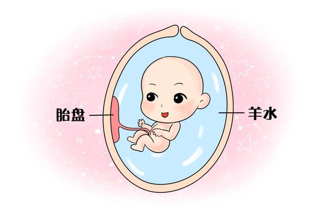 为什么孕妇肚子里的水叫羊水呢?它的作用是干嘛?