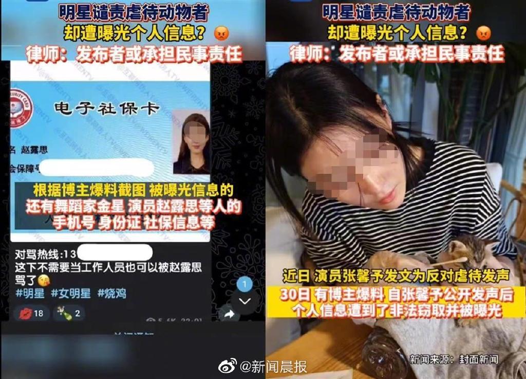 为什么我们不聊杰克辣条虐猫事件？