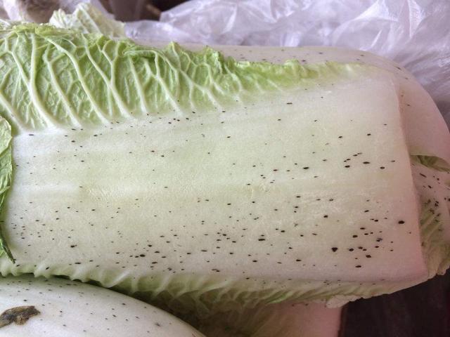 大白菜梗子上面的小黑点能吃吗?