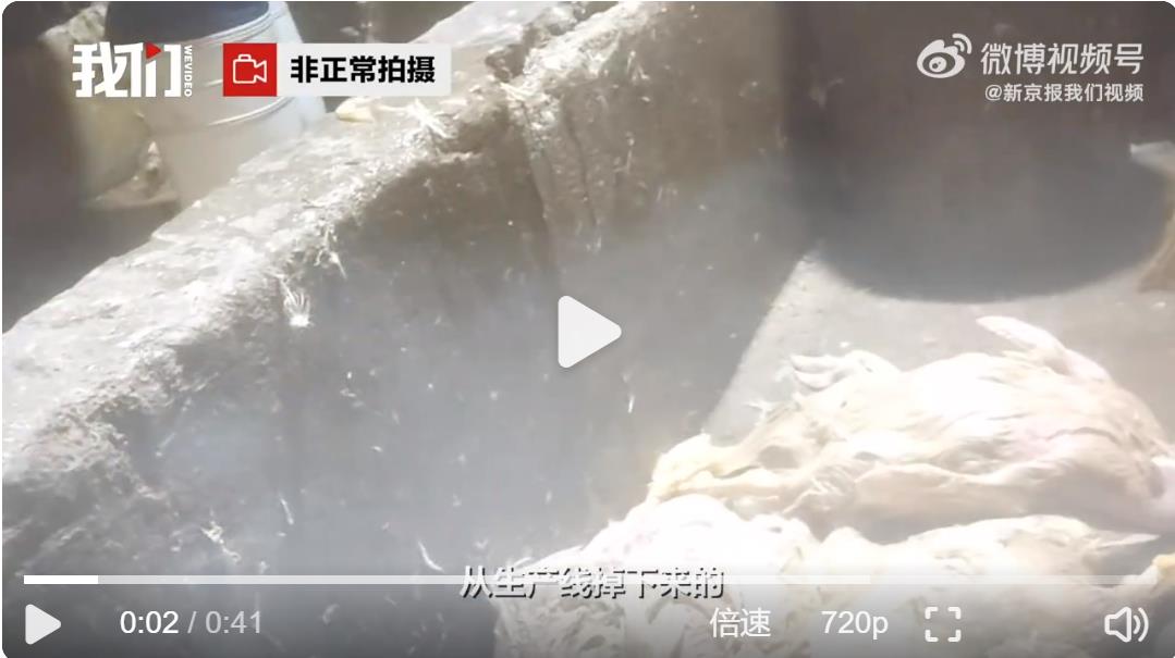 记者卧底鸭肠鹅肠工厂，工人排水口小便后捞出死鸭送车间