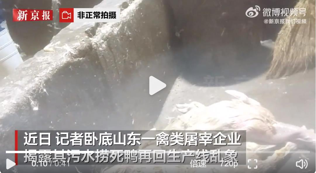 记者卧底鸭肠鹅肠工厂，工人排水口小便后捞出死鸭送车间