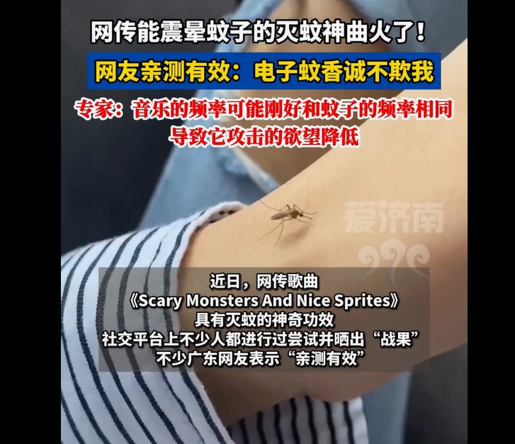 灭蚊神曲走红网络，专家揭秘：真能震晕蚊子吗？